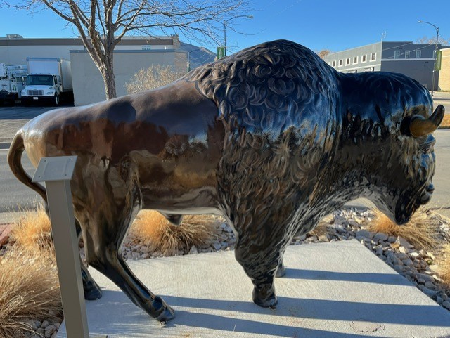 Dark brown buffalo painted by Rebecca Manchester and placed outside of Tooele City Hall.